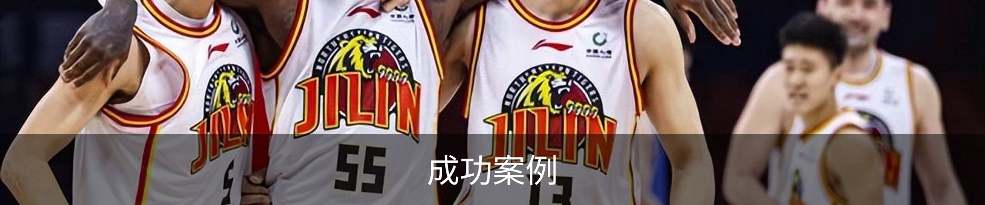 成功案例